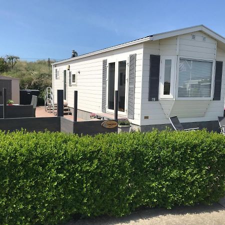 Blauwe Zeedistel Villa IJmuiden Eksteriør billede